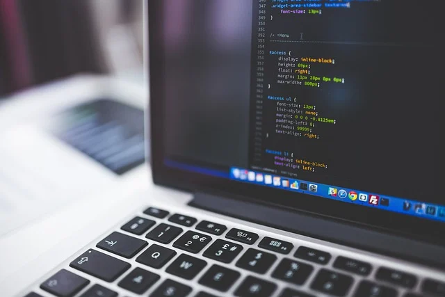 Rakesh Mistri - web coding
